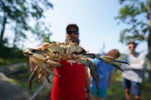 Ox Outdoors Crabbing