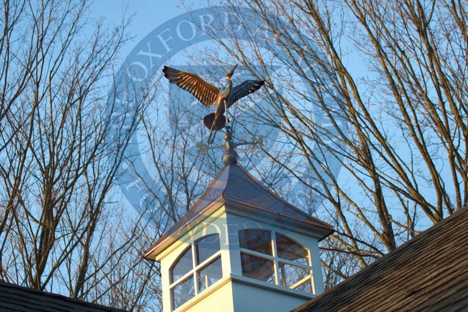 A metal bird weather vane sits atop a cupola on a building roof, symbolizing direction and clarity—qualities often supported by strong executive functioning skills—with leafless trees and a clear sky in the background.
