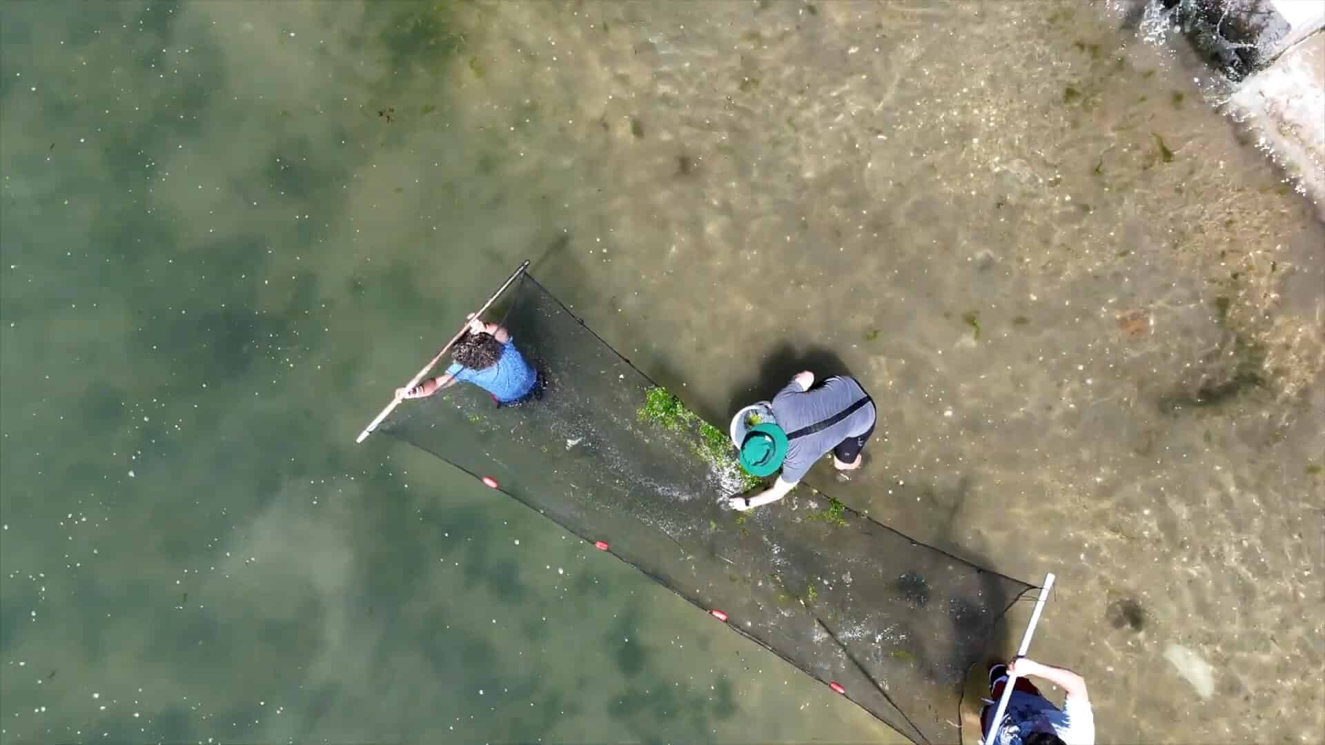 Two people pull a fishing net through shallow water while a third person stands nearby in a small boat. Captured from above, this scene perfectly captures the essence of a memorable summer experience.