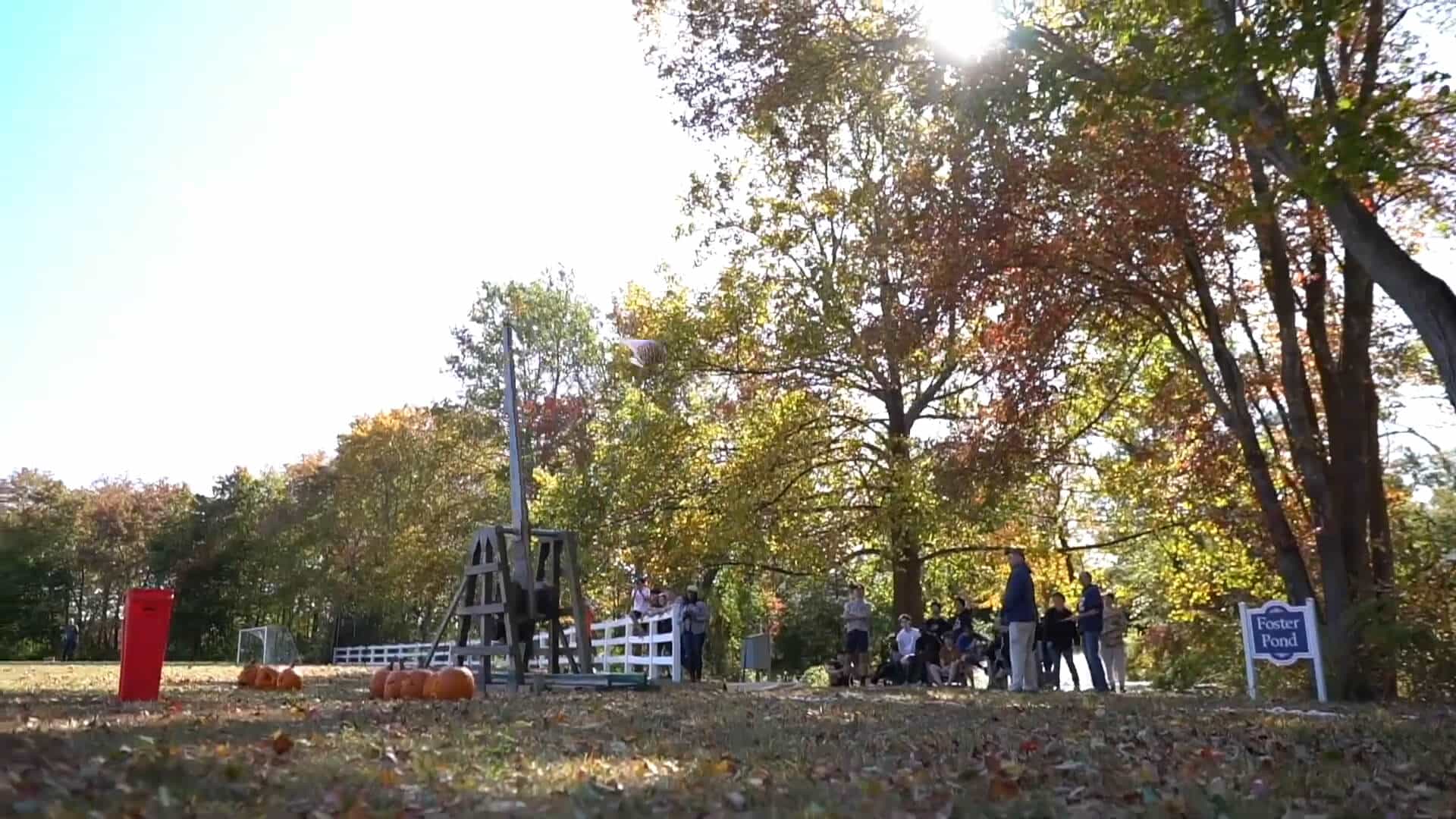 A small group gathers near a wooden trebuchet launching a pumpkin in a sunlit, autumn park with trees and scattered pumpkins on the ground, reminiscing about their favorite summer experiences.