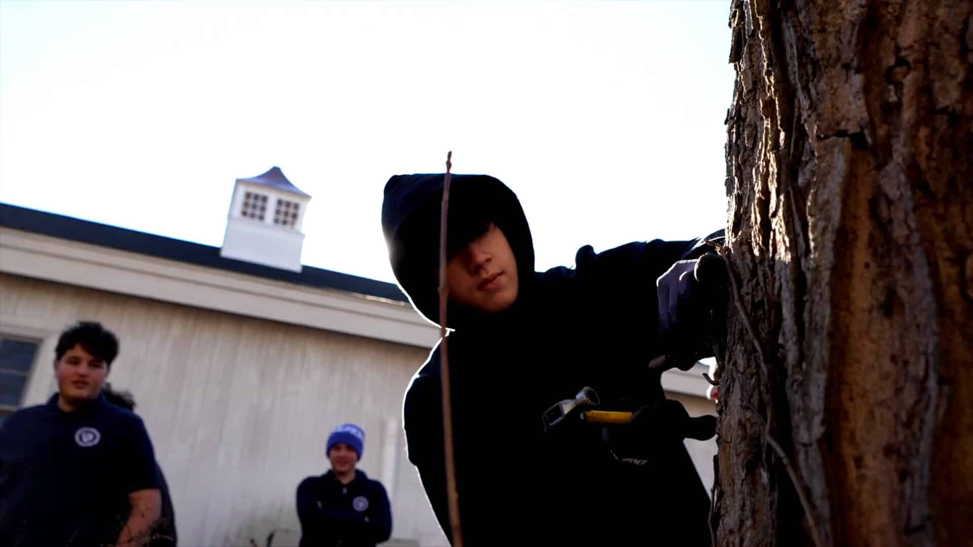 A person in a black hoodie uses a hammer on a tree, capturing a unique summer experience, while two others stand in the background near a building.