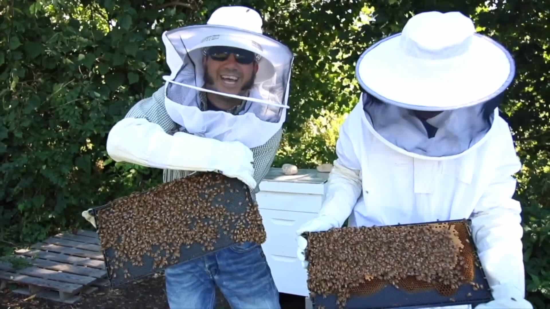Two people in beekeeping suits hold frames covered with bees in front of a beehive outdoors, enjoying a hands-on summer experience.